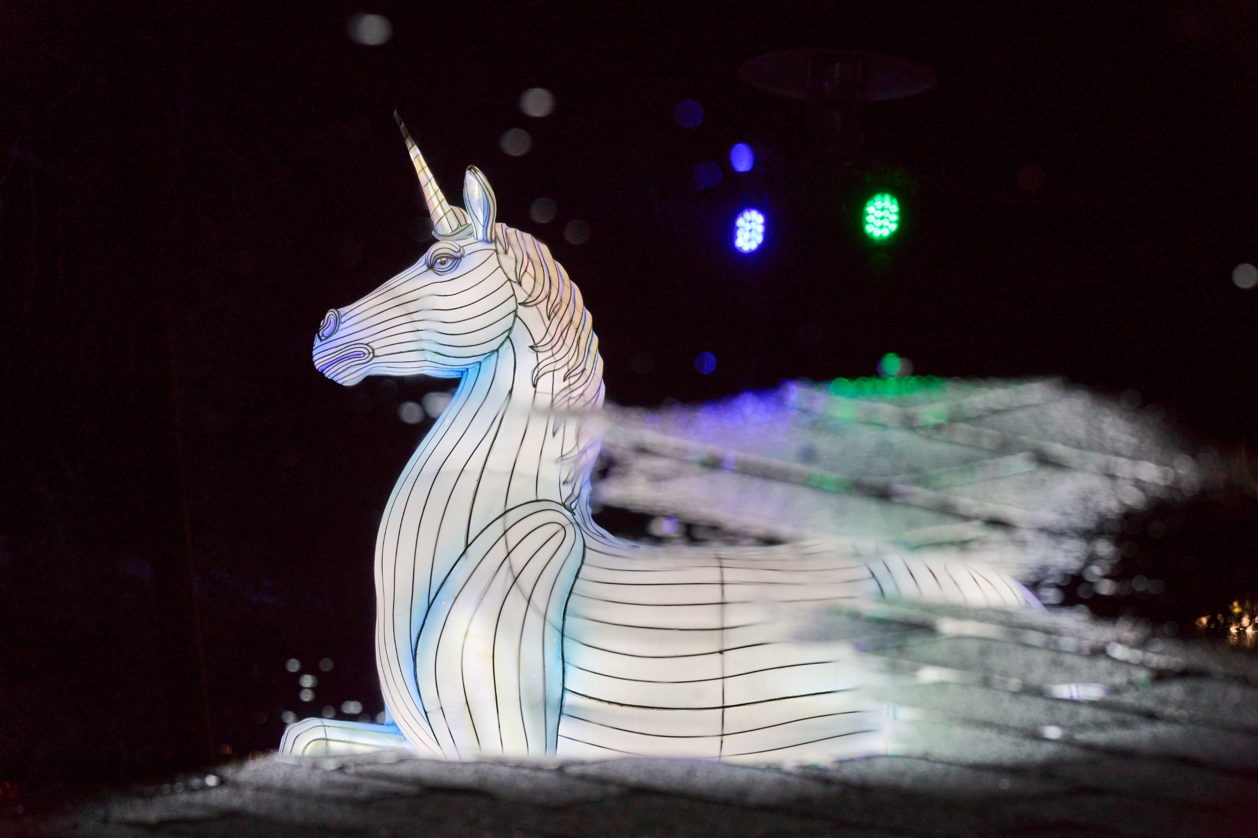 2026 02 03 Parkleuchten 0126